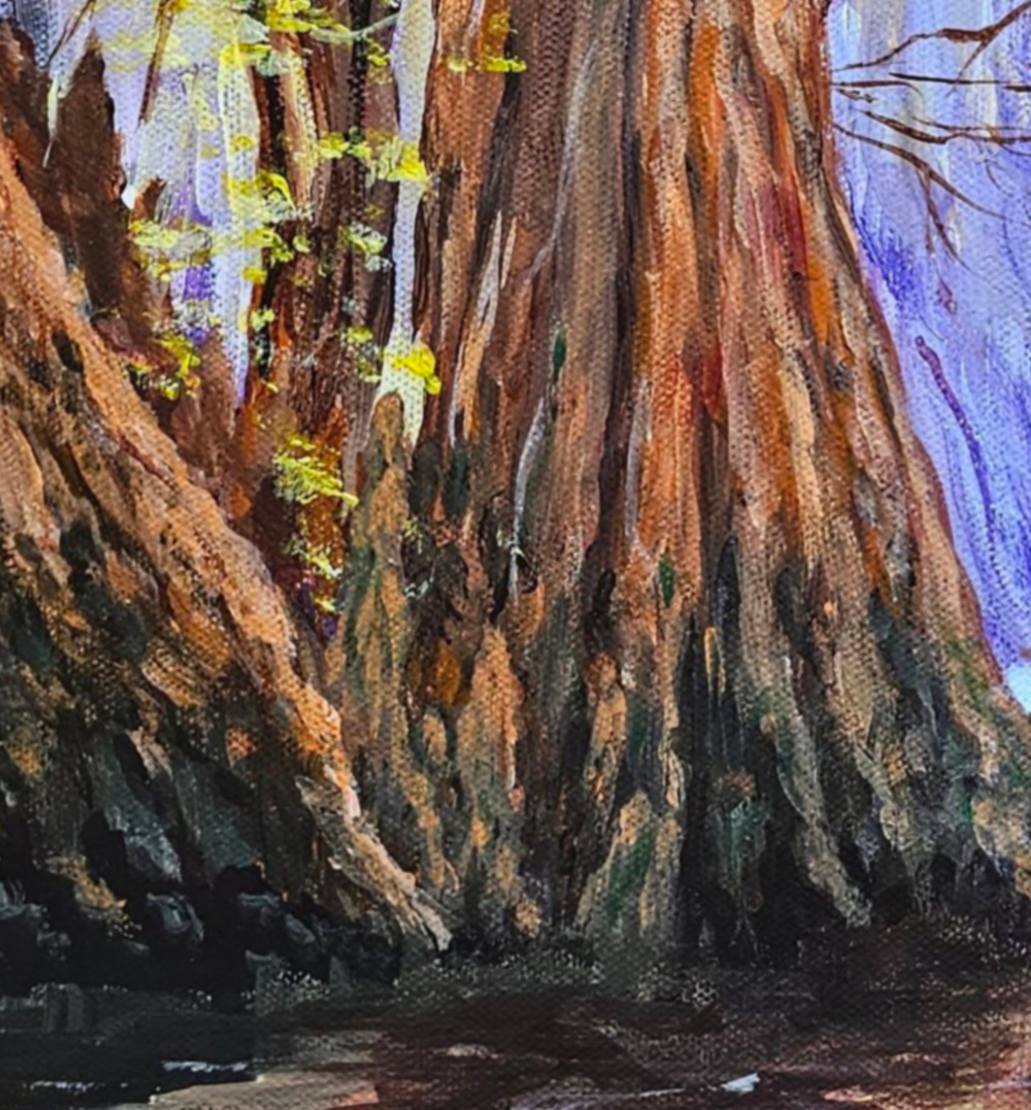 Cypress Grove