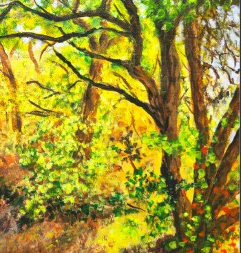 Peaceful Trail - See Prints